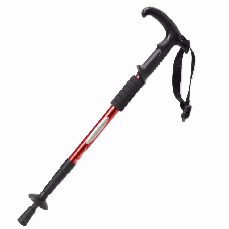 best walking poles