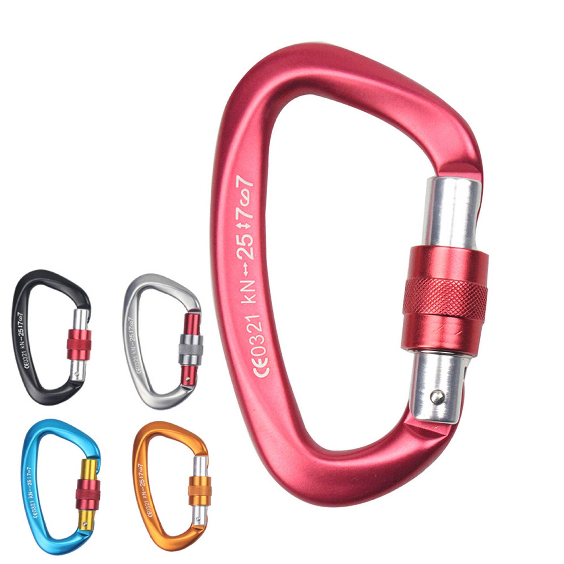 carabiner with screw