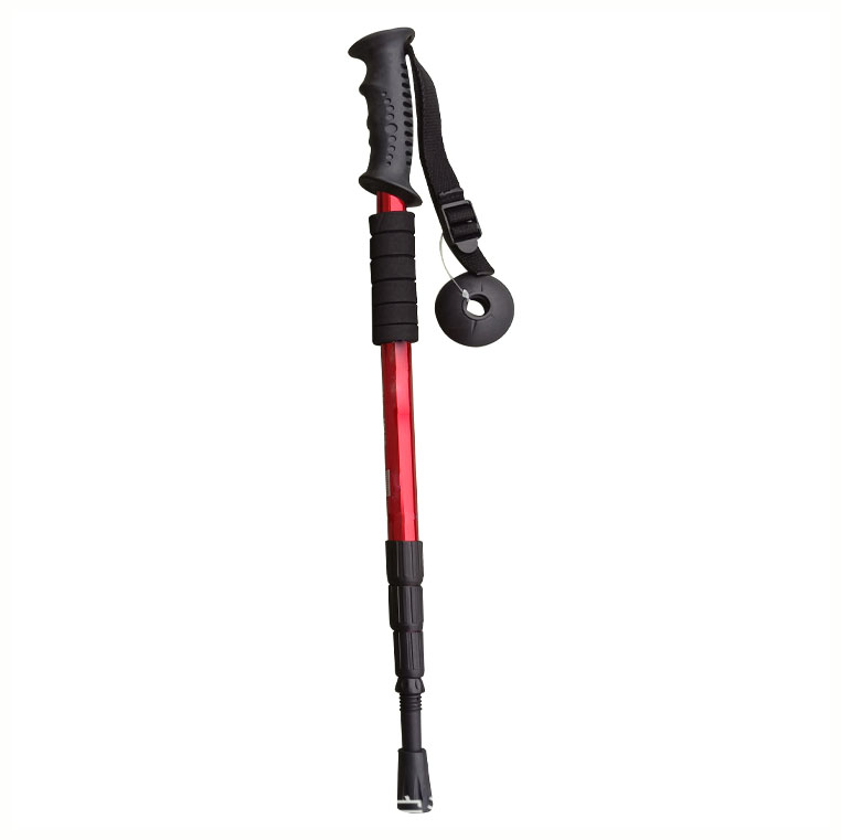 alpine trekking pole