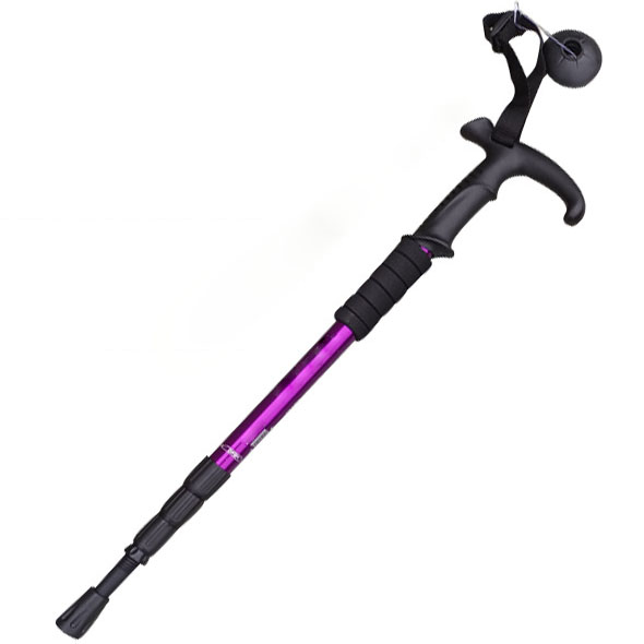 alpine trekking pole