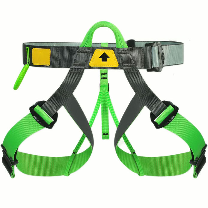 safety belt harness