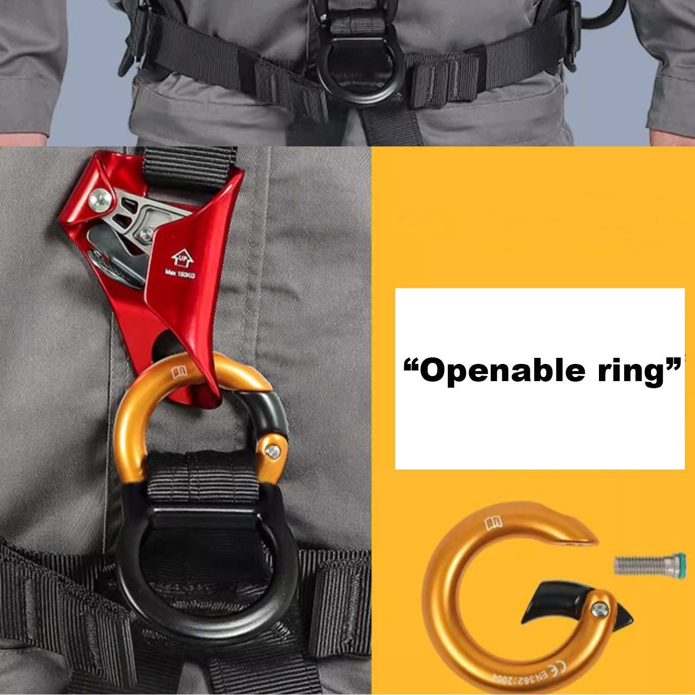 climbing safety belt