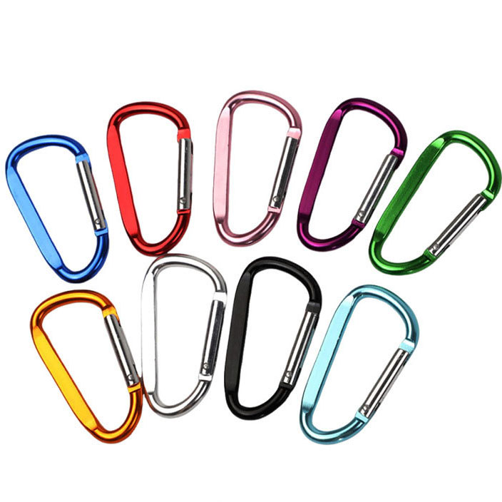 carabiner key ring