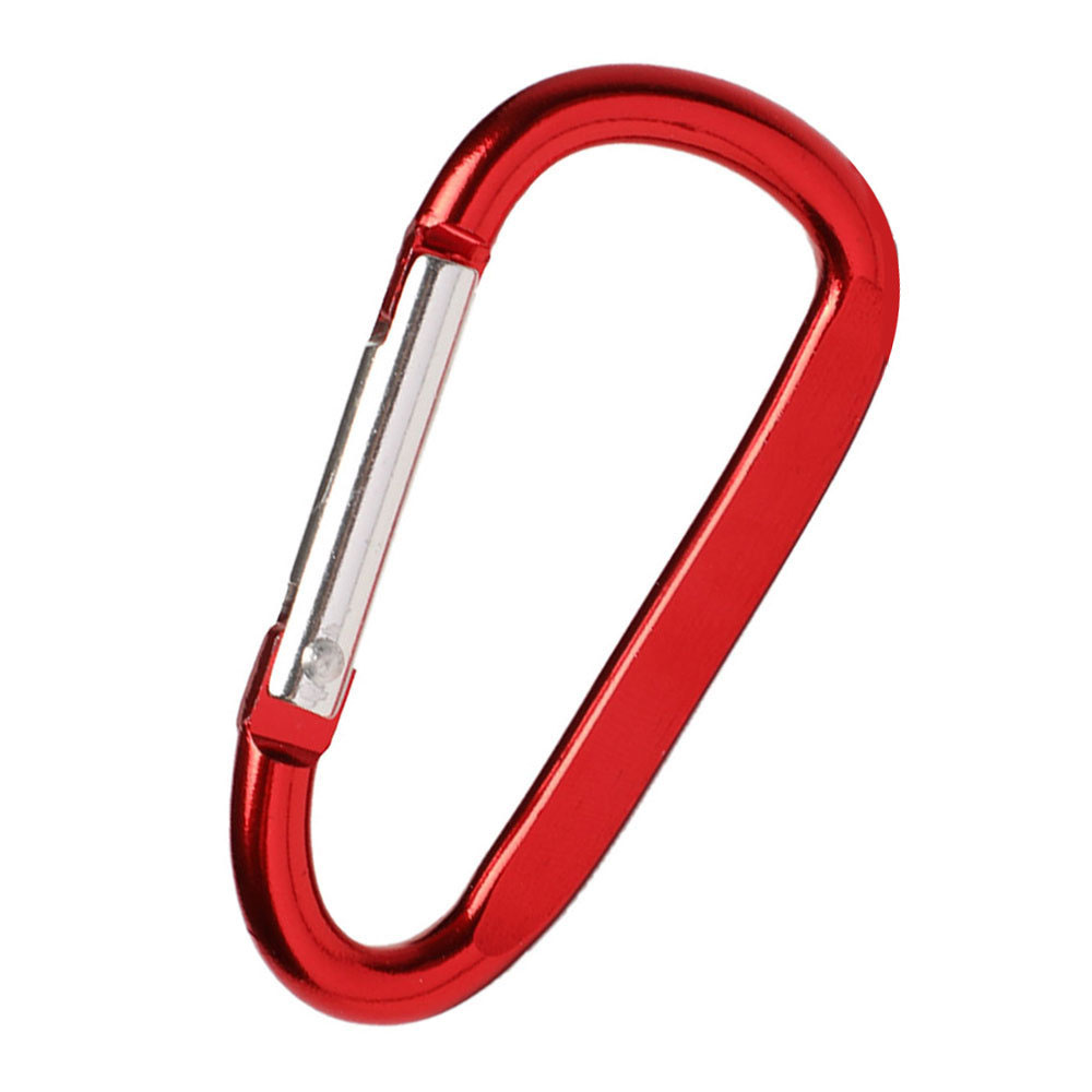 carabiner key ring