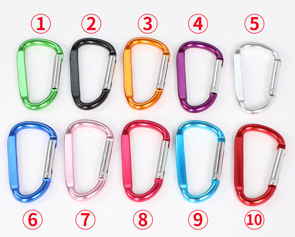 carabiner key ring