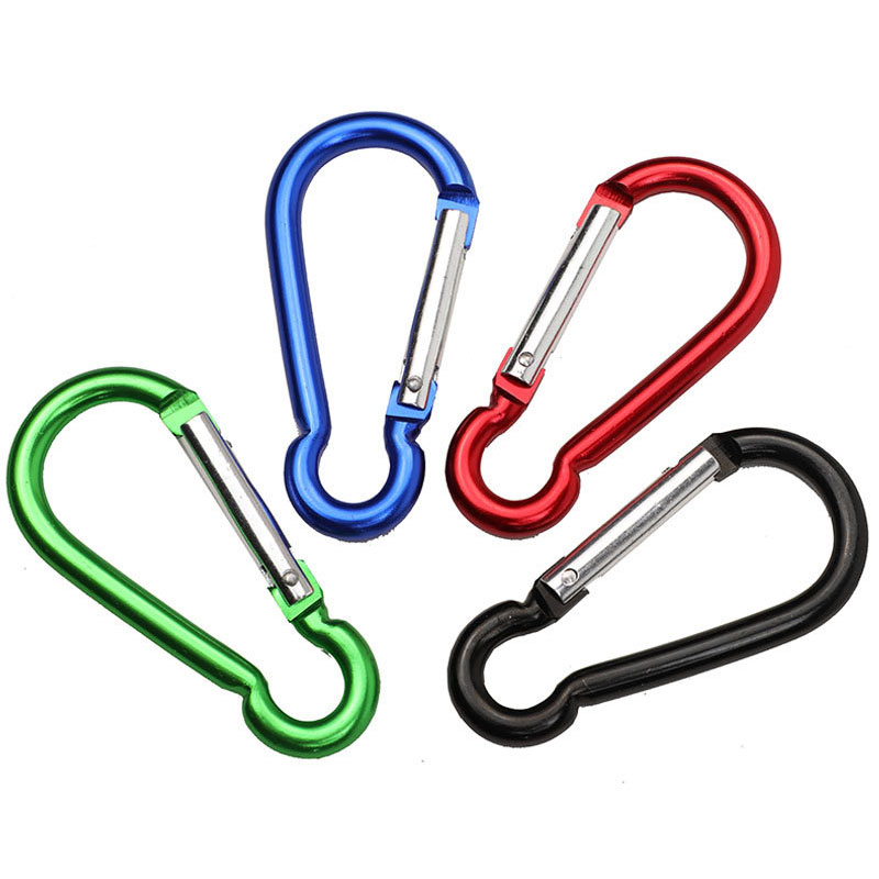 locking carabiner keychain