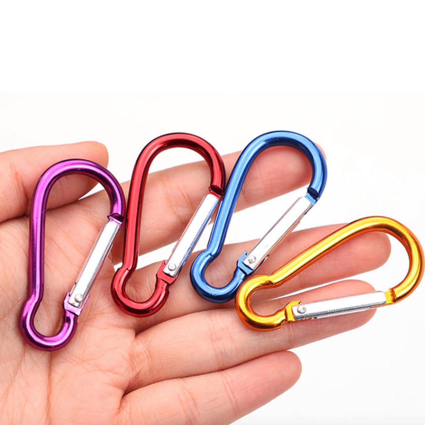 locking carabiner keychain