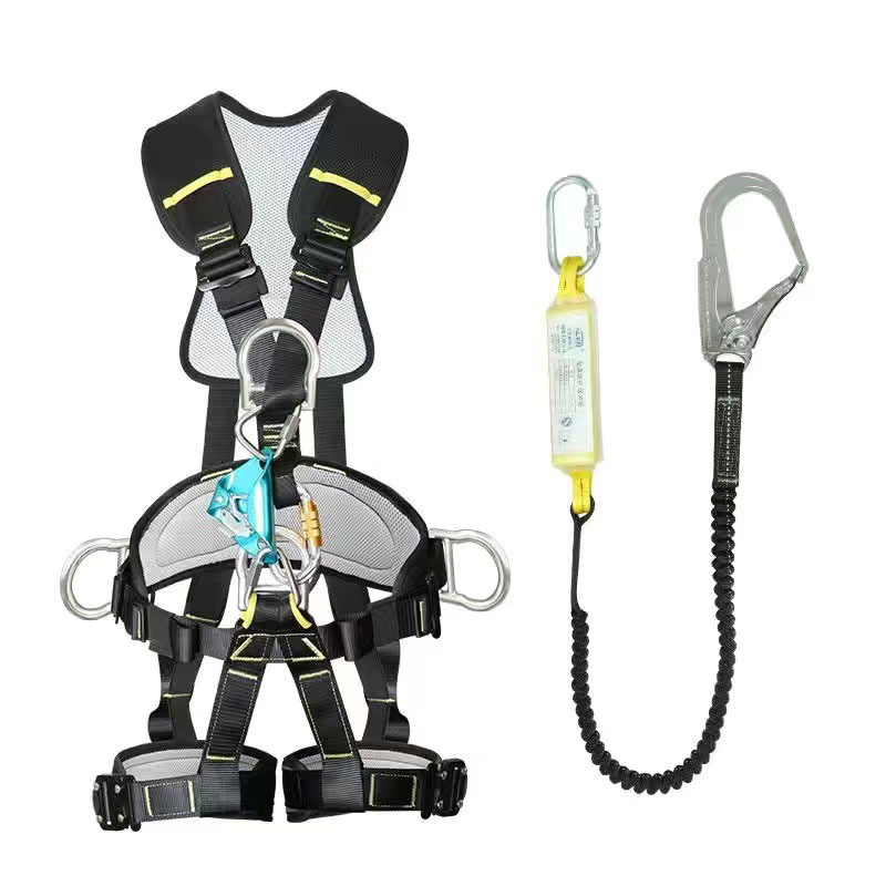 body harness and lanyard