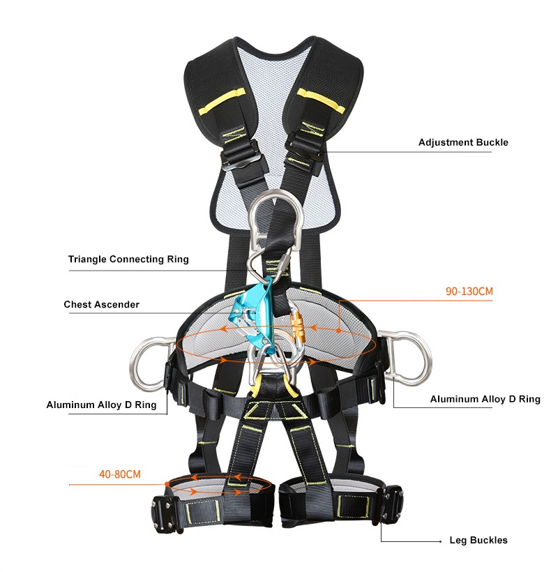 body harness and lanyard