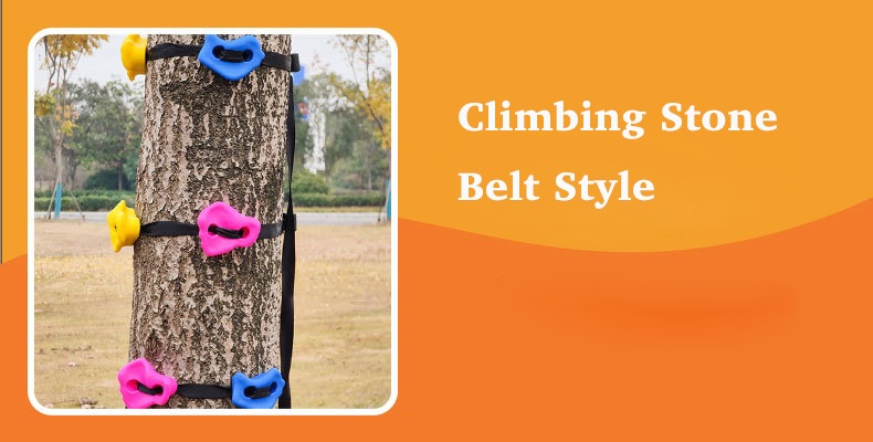 Rock Climbing Tree Holds