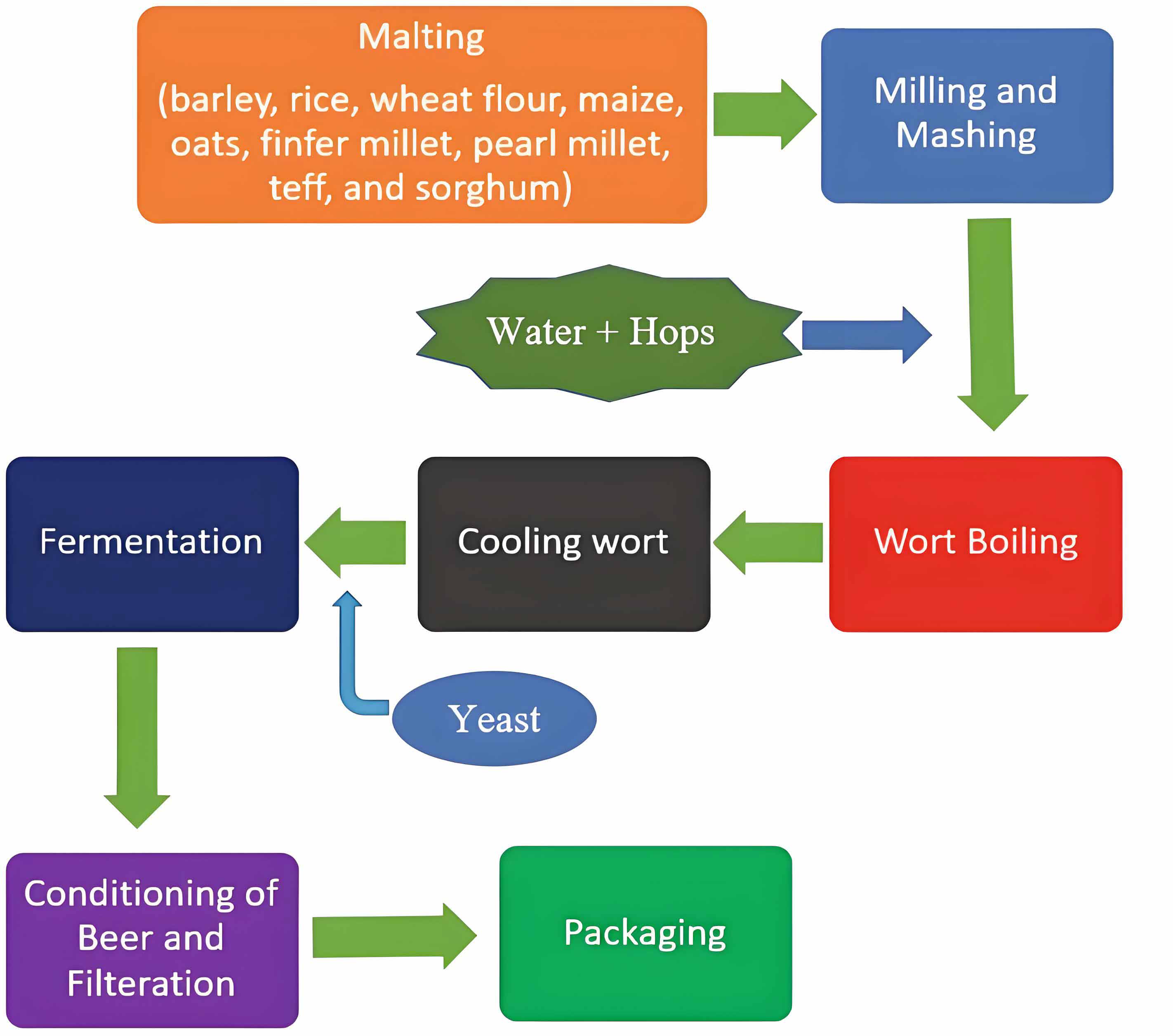production of malt beverages