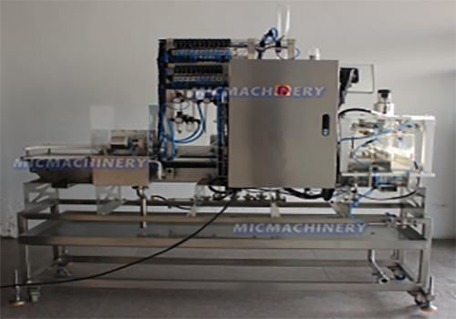 Linear Beverage Canning Machine Line
