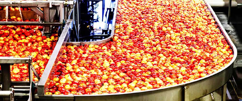 Fruit Vegetable Processing Machinery