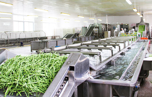 vegetable processing equipment manufacturers