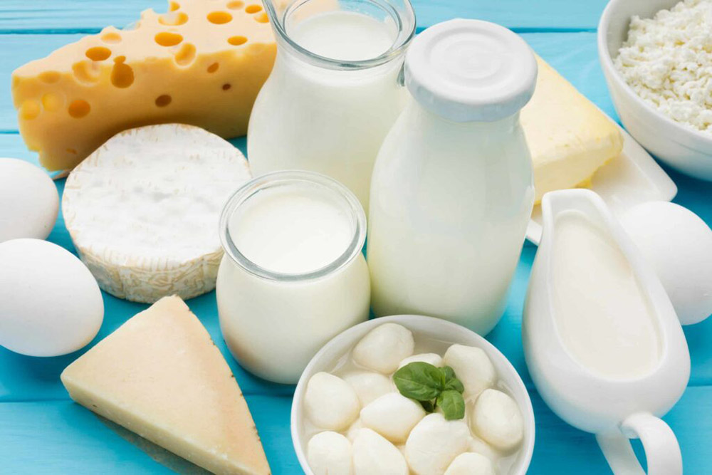 Industrial milk processing plant finished products