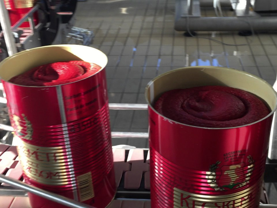 filled sauce can on conveyor belt