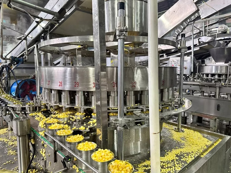 canned corn filling device