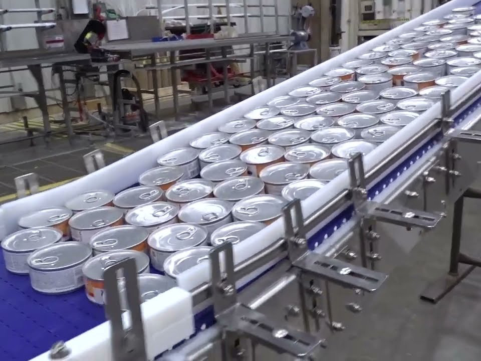 filled canned pet food on conveyor belt