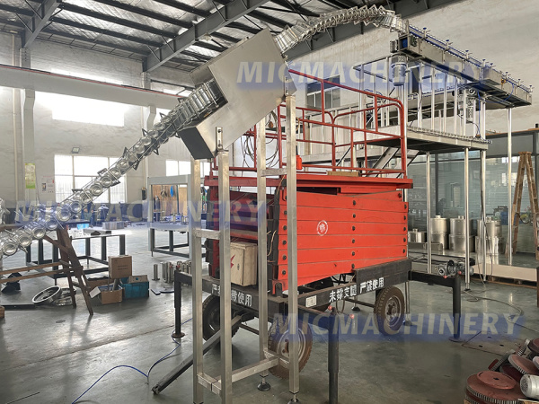 Inline can rinser