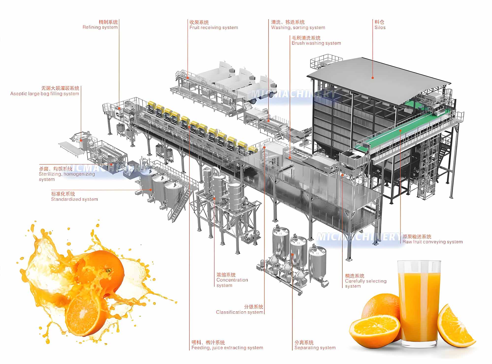 citrus fruit processing line