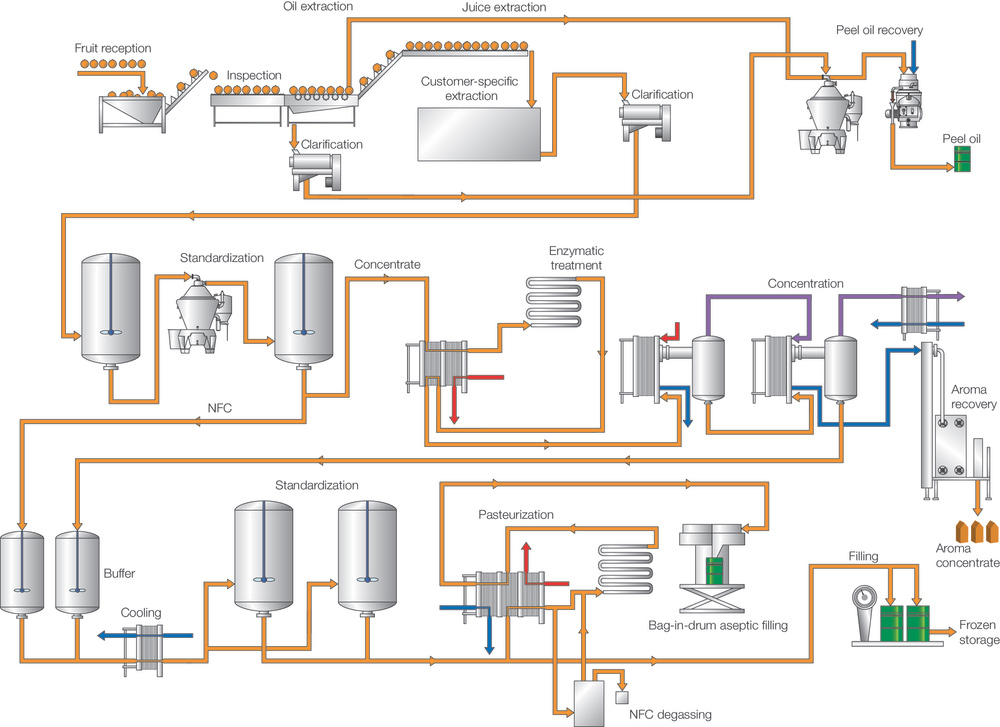 citrus fruit processing steps