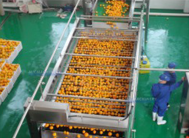 citrus processing equipment