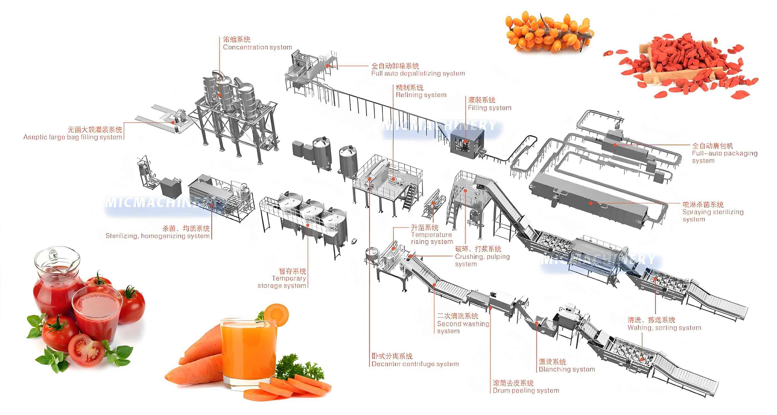 tomato carrot vegetable processing line