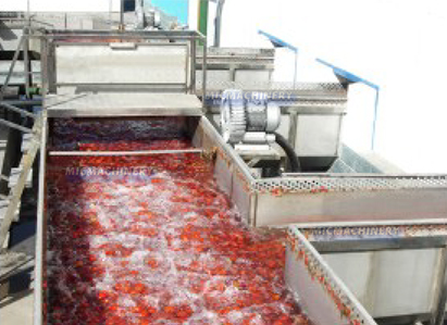 tomato processing machine