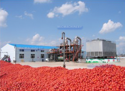 tomato processing factory