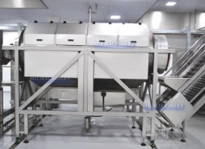 vegetable processing machine