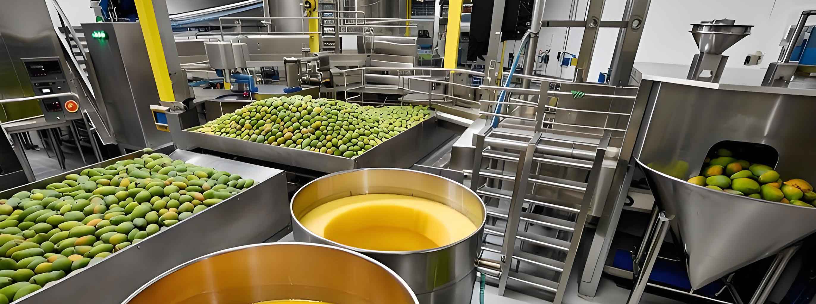 mango processing plant