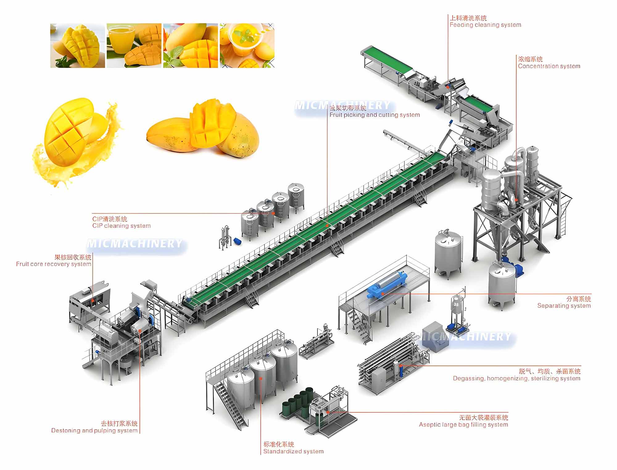 mango processing line
