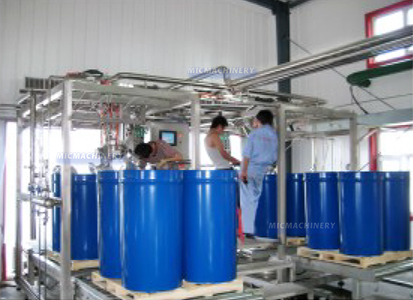 mango processing machine