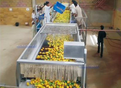 mango processing equipment