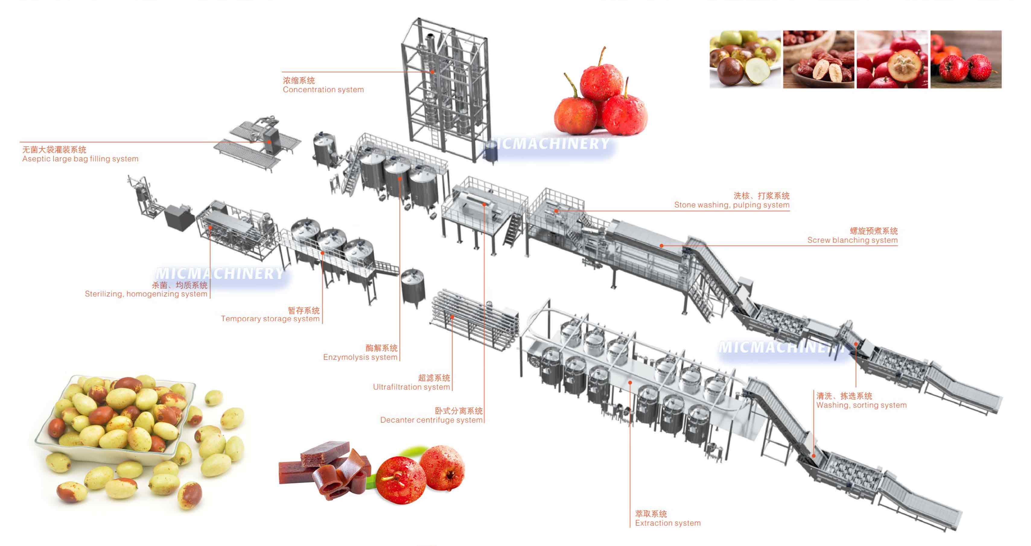 date jujube hawthorn fruit processing line