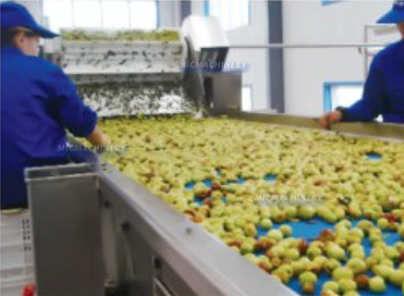 date processing machine