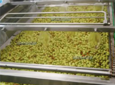 jujube processing machine