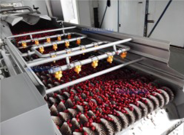 date processing equipment