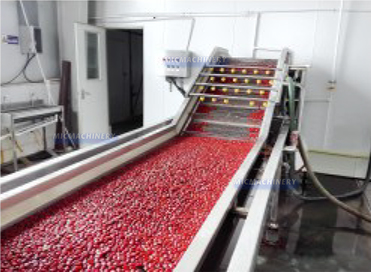 jujube processing equipment