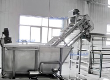 jujube hawthorn processing line