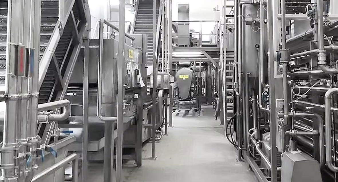 date jujube hawthorn fruit processing plant
