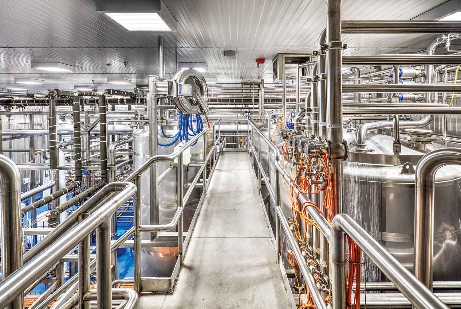 plant protein drinks processing machine
