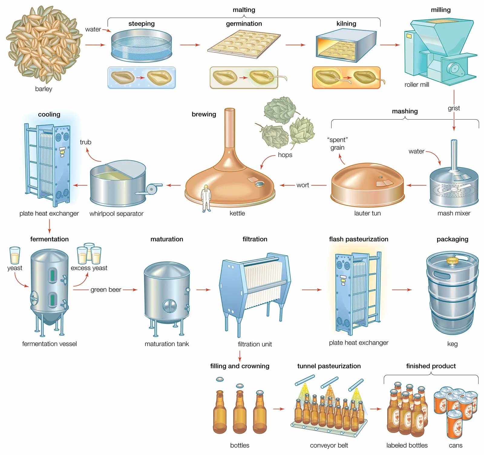 beer production process