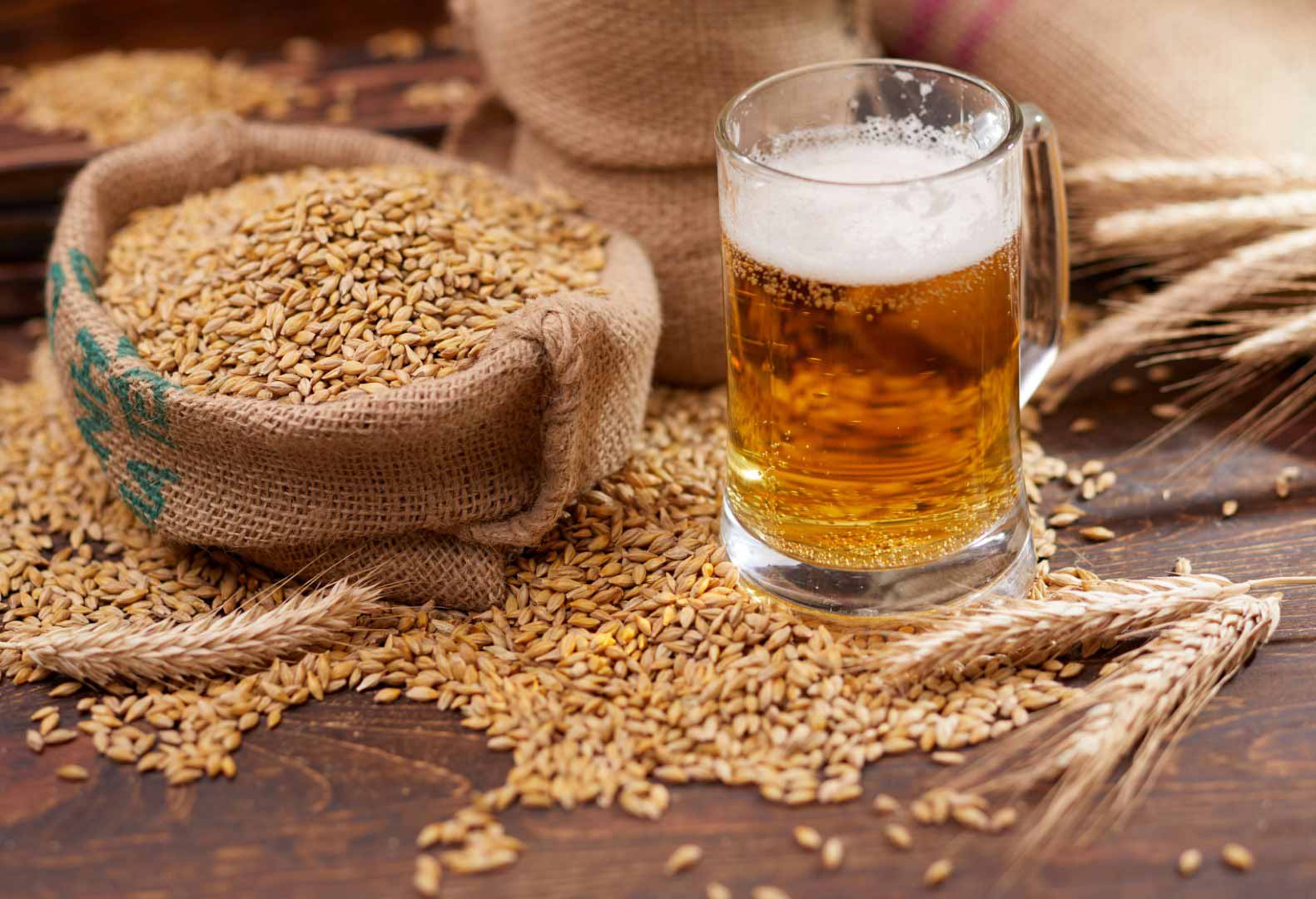 main ingredients of beer