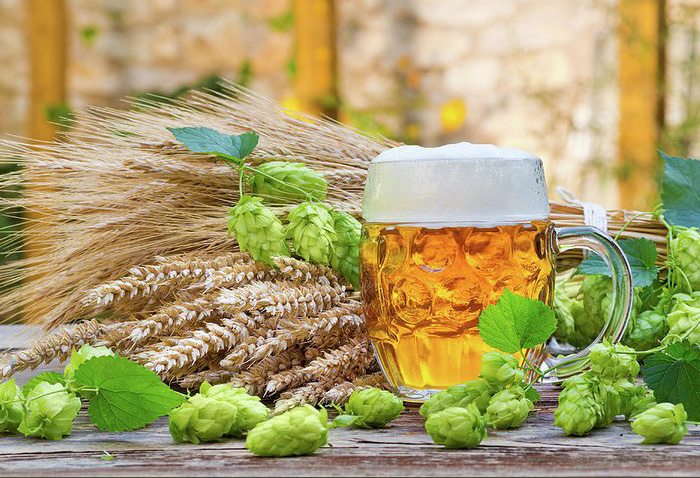 main ingredients of beer
