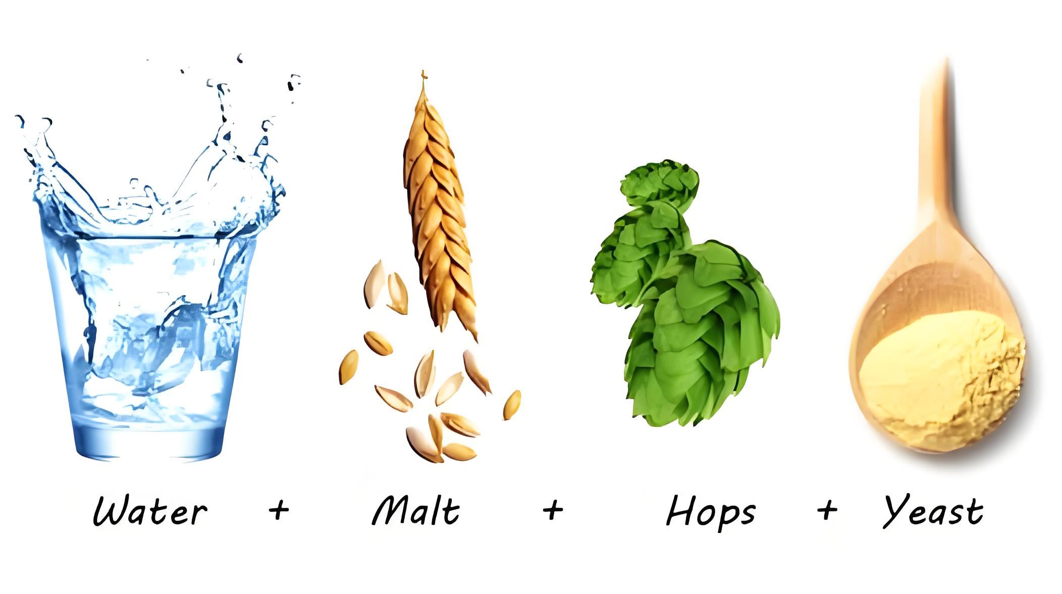 what is beer made of