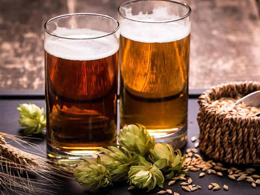 malt craft beer