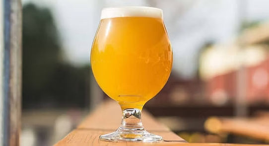 ipa beer