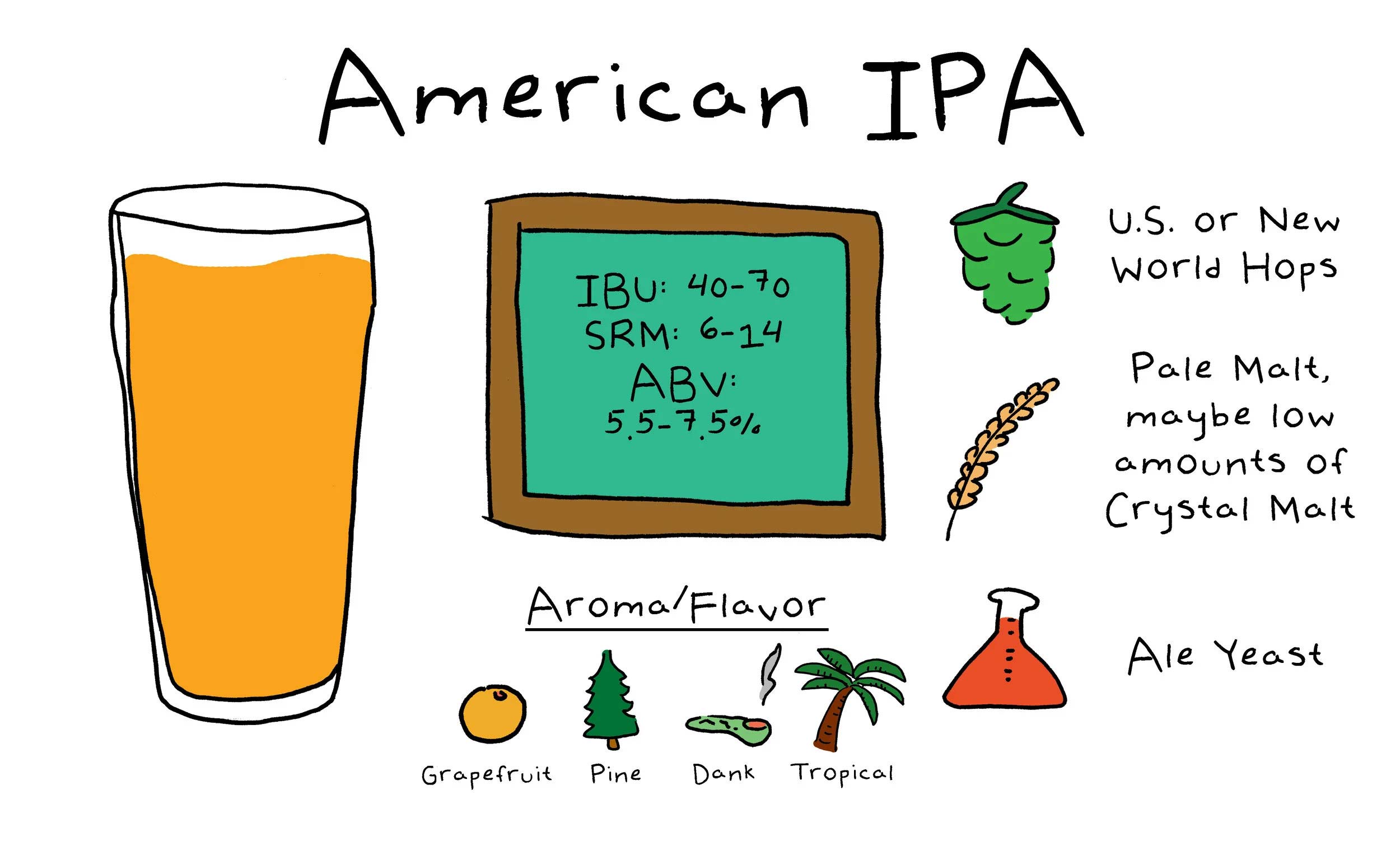 american ipa