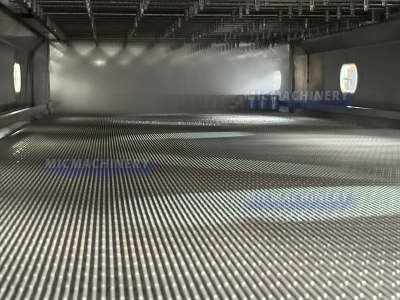 Pasteurization Machine